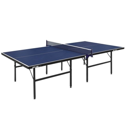 Mesa Ping Pong Play
