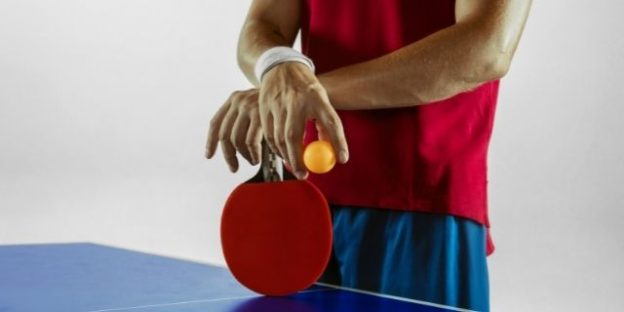 Paletas de ping pong profesionales